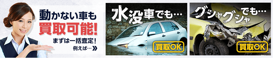 動かない車も買取可能！ まずは一括査定！ 例えば… 水没車でも…買取OK グシャグシャでも…買取OK