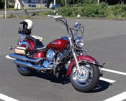 車検・点検｜ドラッグスター1100クラシック（ヤマハ）のメンテナンス