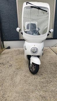 その他 EV デリバリー