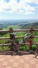 輸入車その他 2009 COLNAGO CL-X