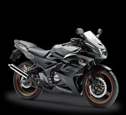 ninja150rr ミラー 販売