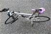 その他 ブリジストン アンカー PA3